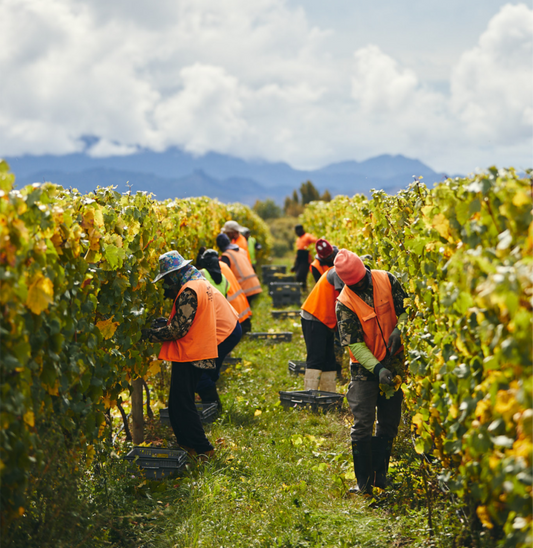 Harvest for 2021 is Over!