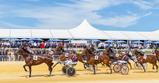 Addington Races