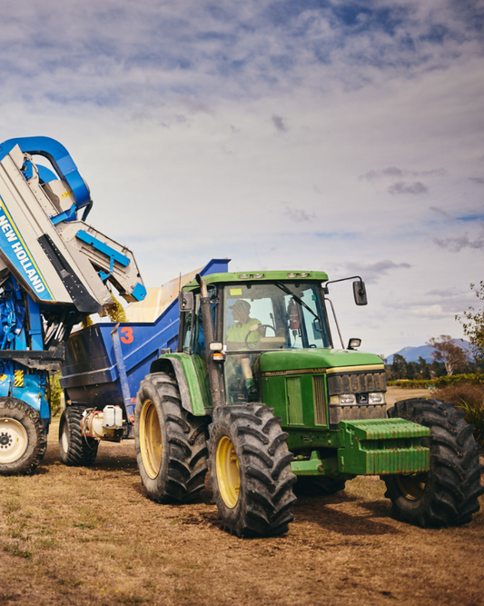Vineyard Machinery Operator