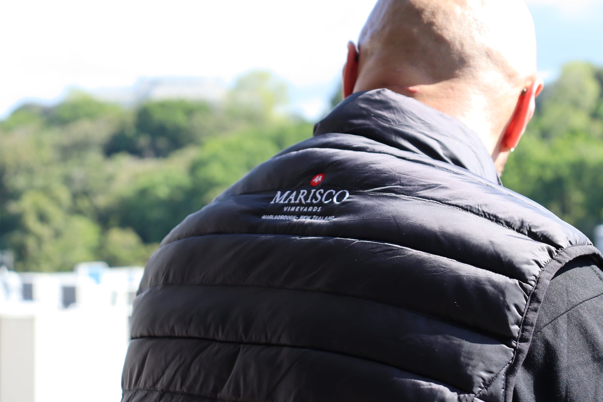 A person in a black "THE NED PUFFER VEST" from Marisco Family Vineyards stands outdoors, facing away. The scene is set against a blurred background of green trees and a bright sky.