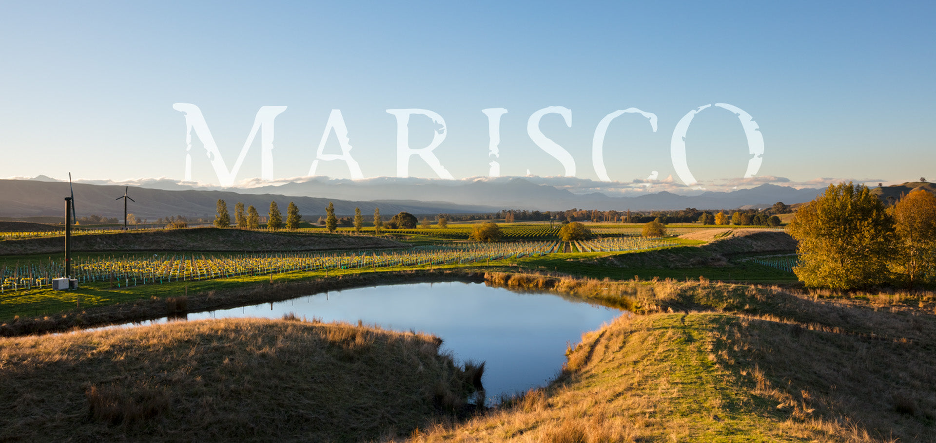 Scenic view of a vineyard with a reflective pond in the foreground, surrounded by grassy fields and trees. Wind turbines are visible on the left, and mountains are seen in the background under a clear blue sky. MARISCO is overlaid in large letters.
