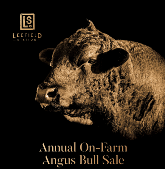 Join us for the 2026 Leefield Station Bull Sale