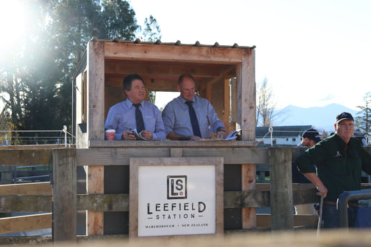 Leefield Station Angus Records Successful 2026 Bull Sale